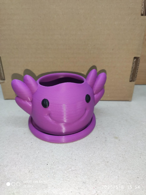 Vysmátý květináč - Axolotl