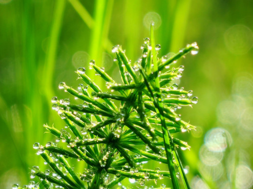 Přání lásky plného máje