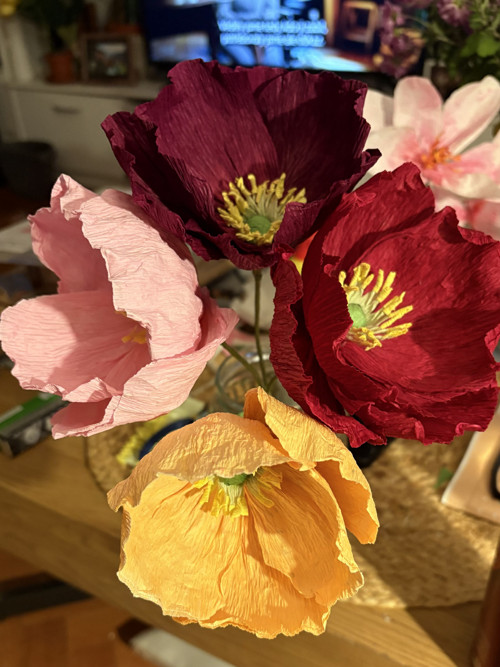 Iceland Poppy cena za květ