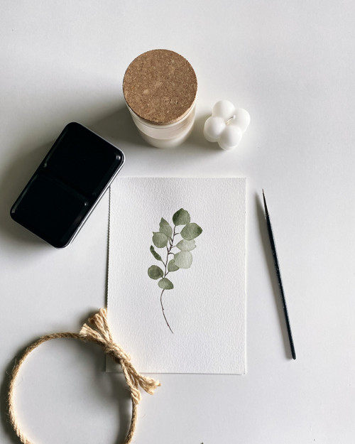 Eukalyptus - akvarel, ilustrace A5