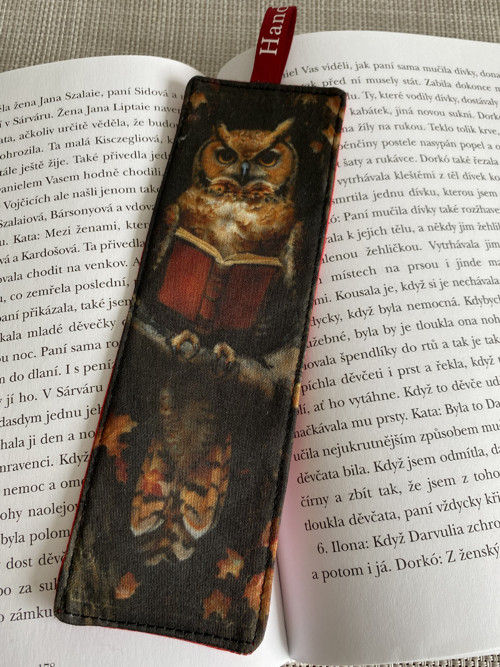 Záložka do knihy - Sova čtenářka