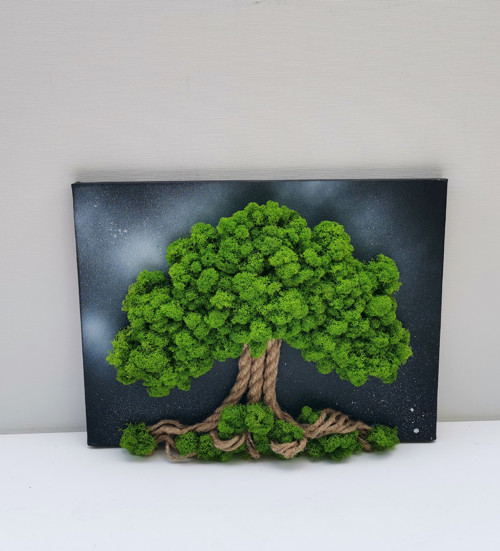 Živý mechový obraz, strom 30x40cm