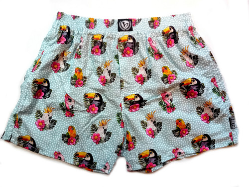BIRDS
