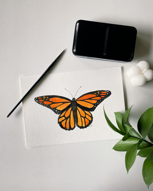 Monarch stěhovavý - akvarel, originál, A5