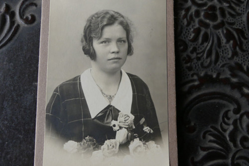 Růže... fotografie Alois Kubec, Kostelec