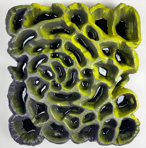 Sea Sponge
