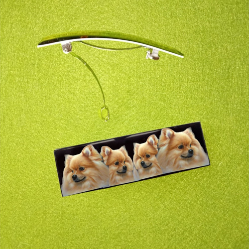 Špic Pomeranian Automatická Spona Do Vlasů
