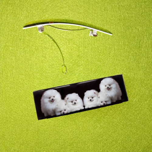 Špic Pomeranian Automatická Spona Do Vlasů