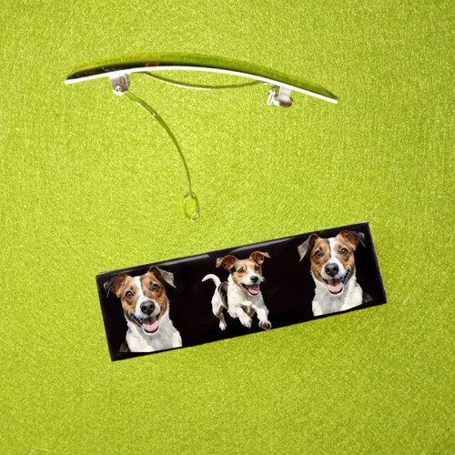 Jack Russell Teriér Automat. Spona Spona Do Vlasů