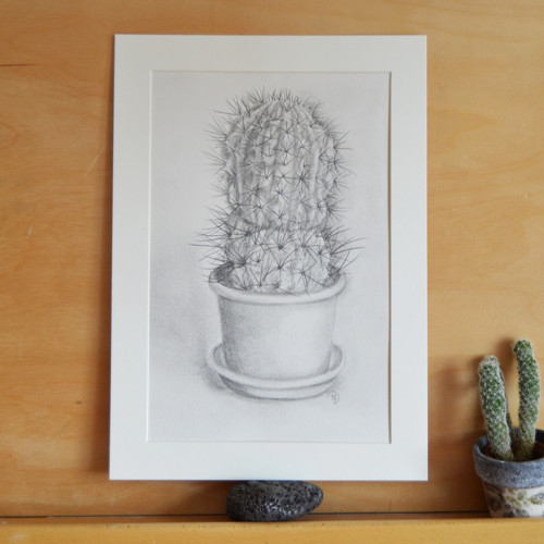 Originál - Z mé sbírky kaktusů 29,5 x 21cm