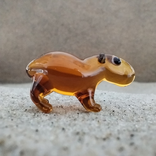 Kapybara