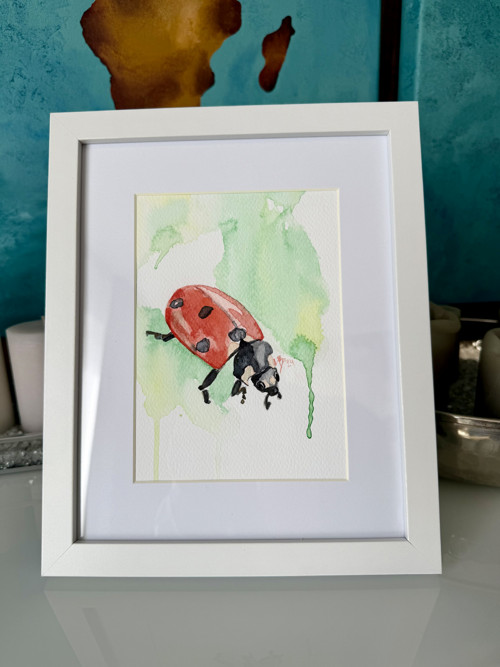 “Ladybug” beruška - akvarelový obrázek v rámečku