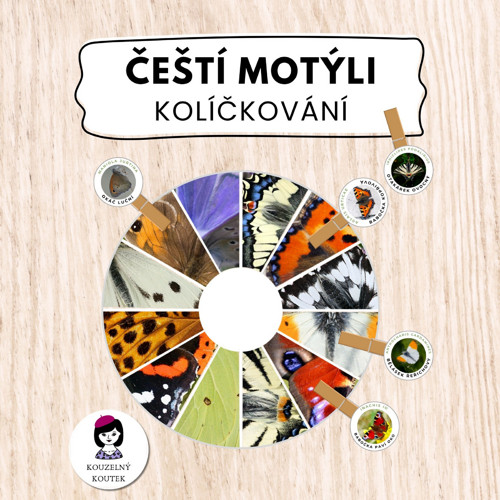 Čeští motýli - kolíčkování, sčítání motýlů