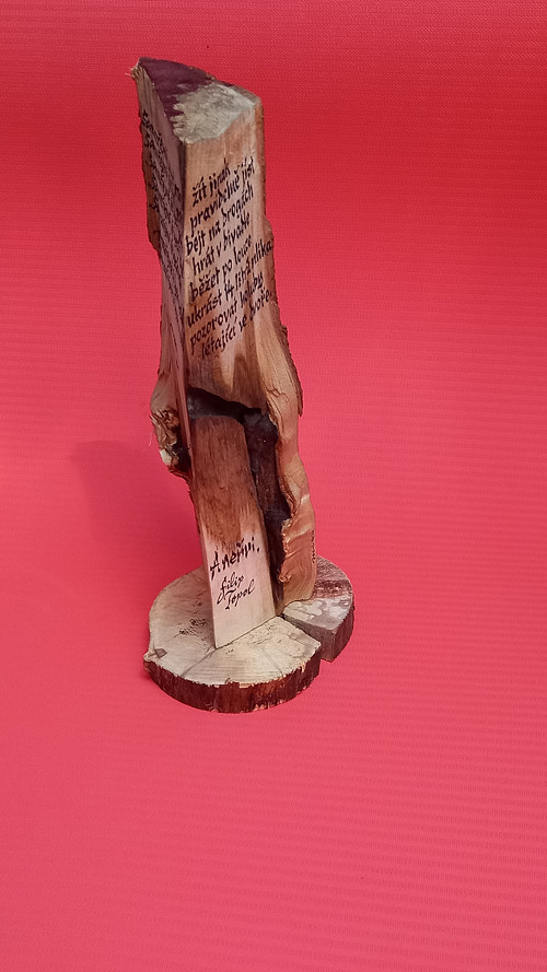 Úryvek z textu Filipa Topola