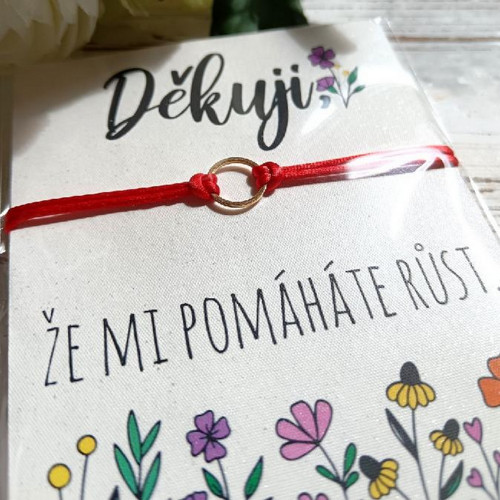 Náramek na šňůrce - Pro paní učitelku - nerez