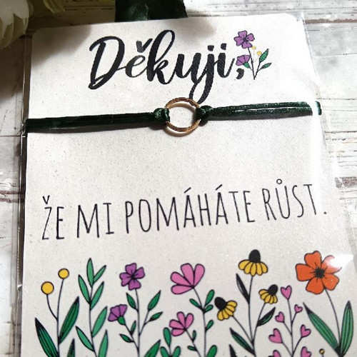 Náramek na šňůrce - Pro paní učitelku - nerez