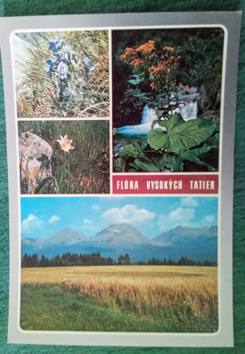 Vysoké Tatry