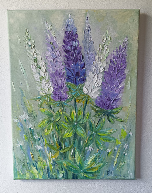 Lupinus — foto 1