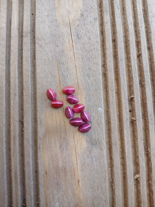 Skleněný korálek - POHANKA. Velikost 5x3mm.