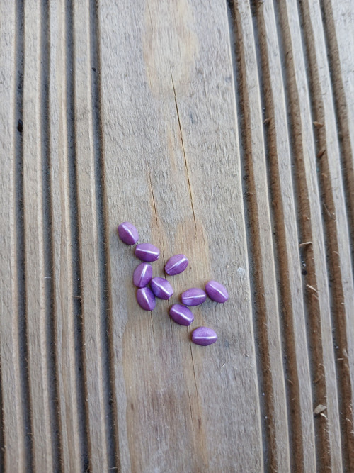 Skleněný korálek - POHANKA. Velikost 5x3mm.