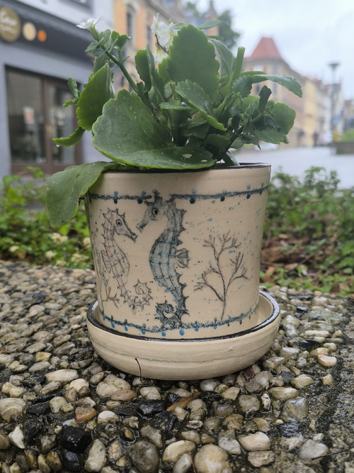 Květináč - mořský koník