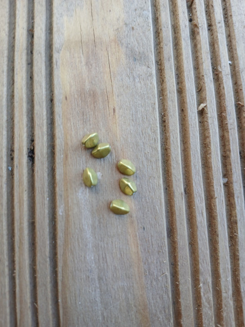 Skleněný korálek - POHANKA. Velikost 5x3mm.