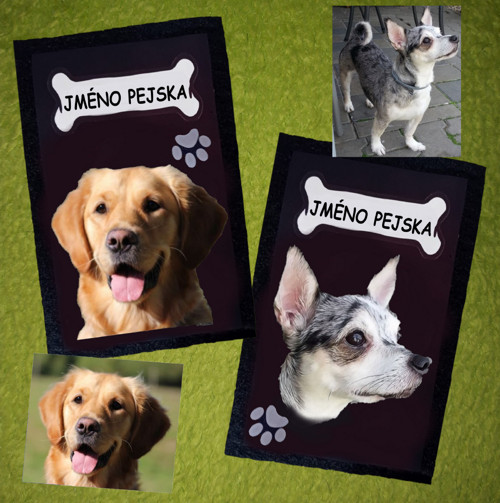 Pouzdro Na Očkovací Průkaz S Vlastním Pejskem