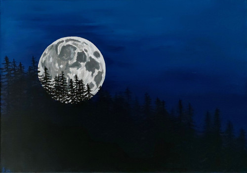 Jediné světlo 35x50 - akrylový obraz na plátně