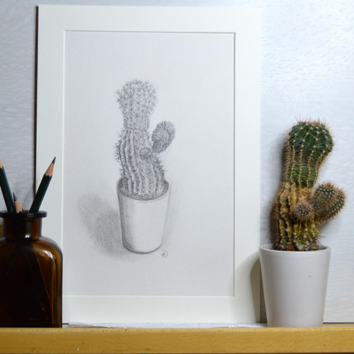 Originál - Z mé sbírky kaktusů II. 29,5 x 21cm