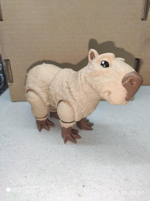 Kapybara