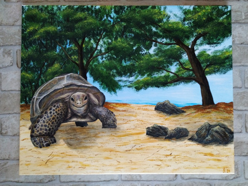 Suchozemská želva 40x50 - akrylový obraz