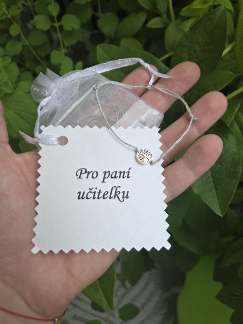 Darek pro ucitelku : Náramek pro paní učitelku