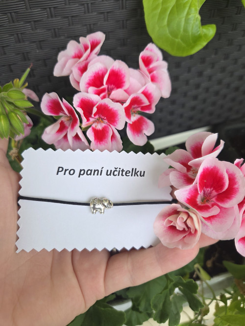 Slon pro štěstí, pro paní učitelku