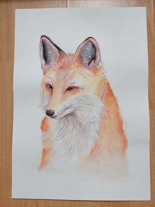 Akvarel liška originál A3