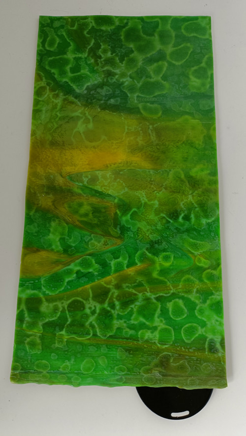 Lemna minor — foto 1