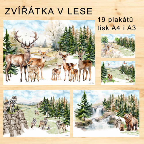 Zvířátka V Lese - Plakáty v Pdf