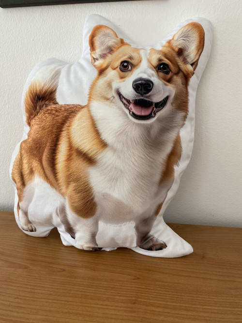 Polštář 3D - Corgi