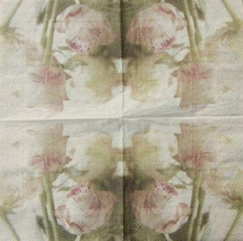 Pink rose 4452 — foto 1