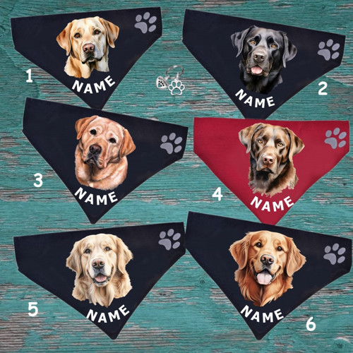 Labrador, Retrívr Šátek Na Obojek Se Jménem