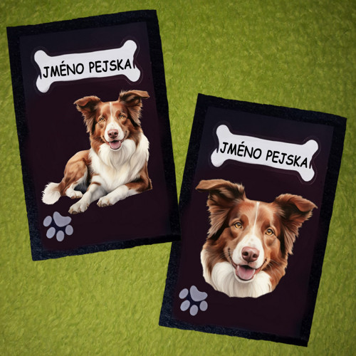 Border Kolie Pouzdro Na Očkovací Průkaz Se Jménem