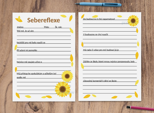 (formativní) Sebereflexe floral 2 - slunečnice