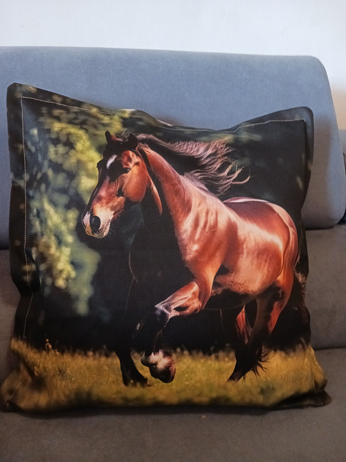 Povlak s koněm 4