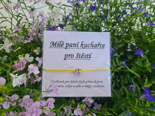 Paní kuchařce — foto 1