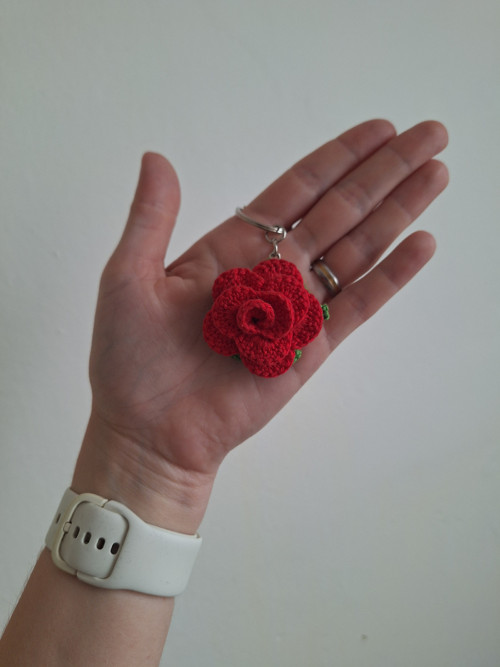 Klíčenka růžička — foto 1