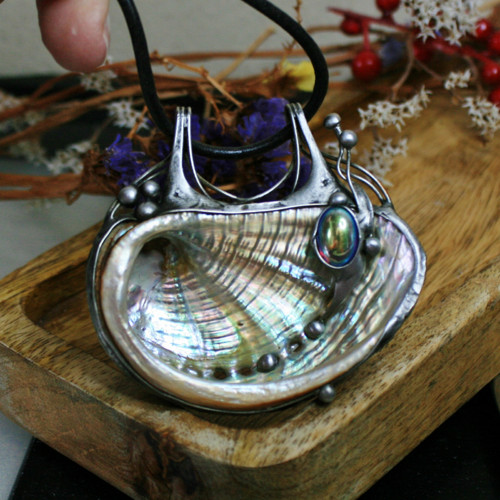 Přírodní lastura Abalone — foto 1