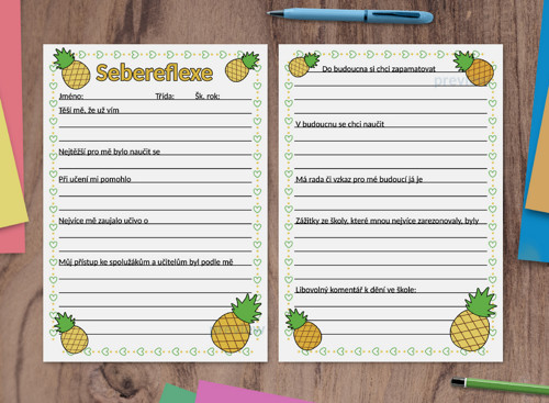 (formativní) Sebereflexe fruit - ananas — foto 1