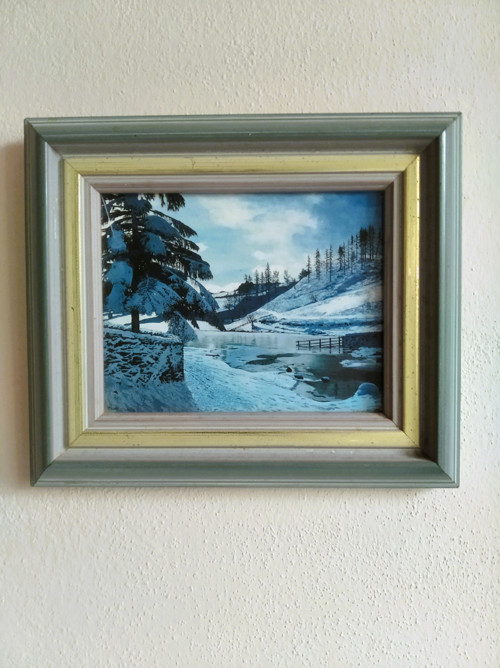 Zima
