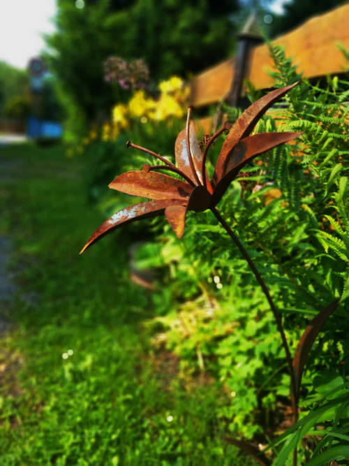 Lilie 2