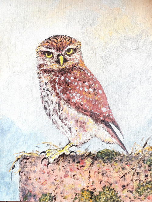 Obraz " Sýček obecný " — foto 1