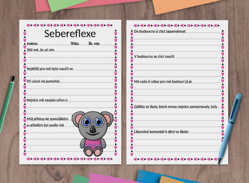 (formativní) Sebereflexe zvěrky - koala — foto 1